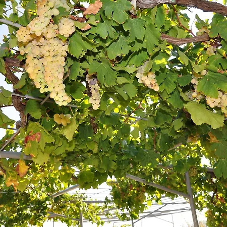 Bm St2 Lejlighed Split